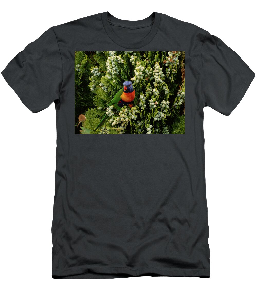 Parrot T-Shirt featuring the photograph Munch by Mark Blauhoefer