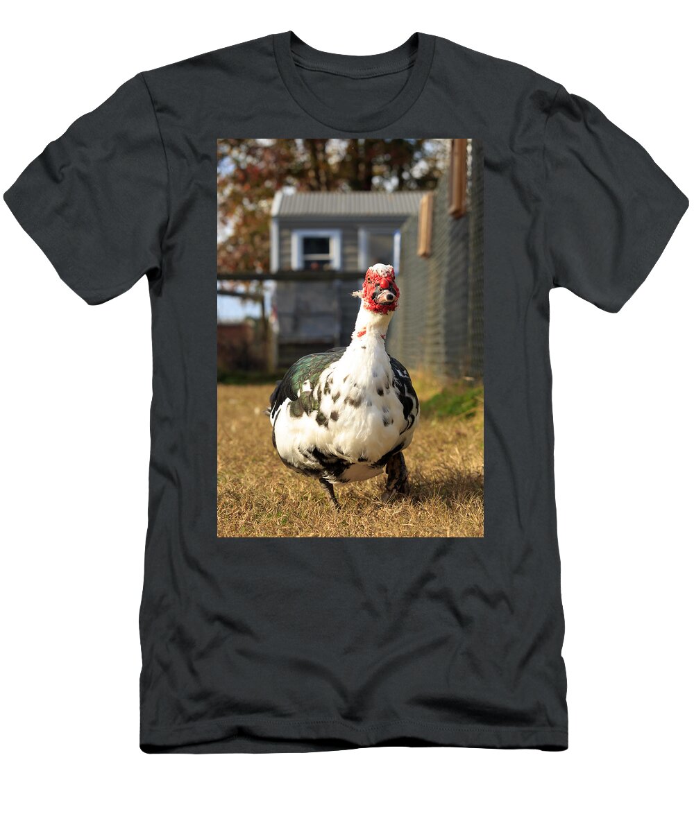 Muscovy Duck T-Shirt featuring the photograph Muscovy Duck by Travis Rogers
