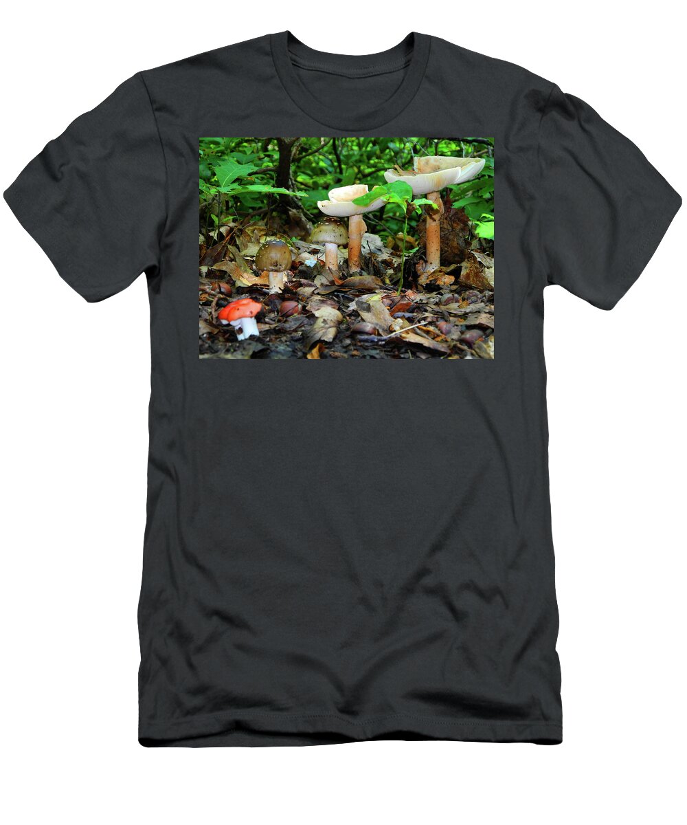 Mushrooms On Bear Mountain T-Shirt featuring the photograph Mushroom Family by Raymond Salani III
