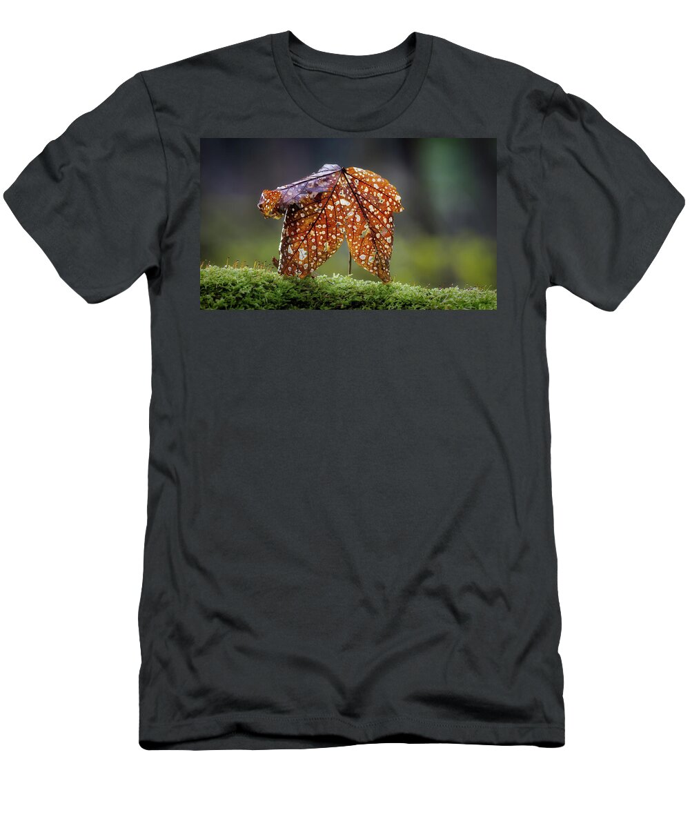 Autumn T-Shirt featuring the photograph Must Be Autumn by Mountain Dreams