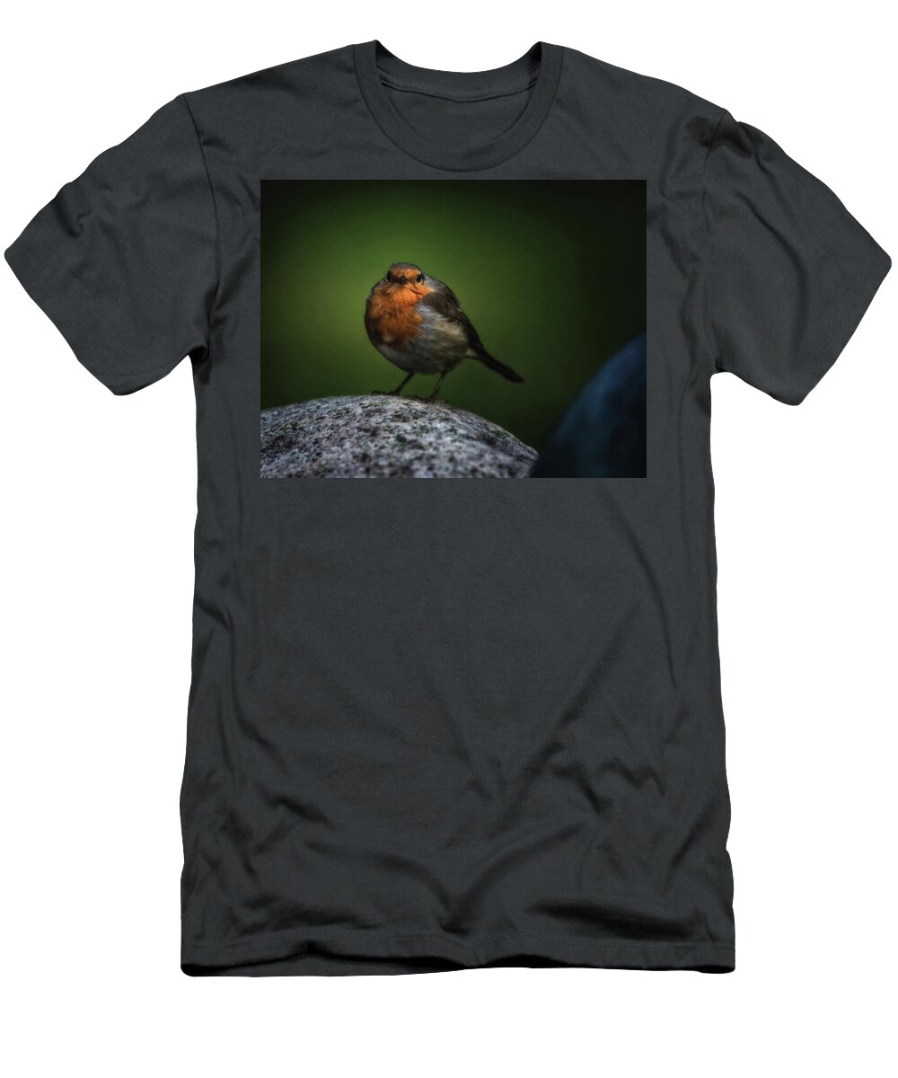 Robin T-Shirt featuring the photograph My Friend Robin by Hans Zimmer