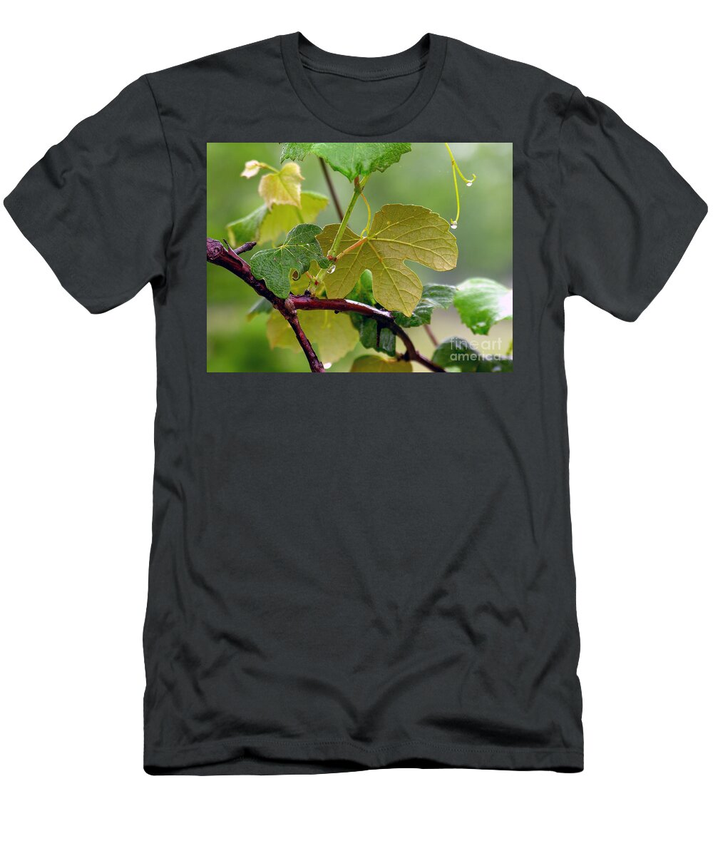 Grapevine T-Shirt featuring the photograph My Grapvine by Robert Meanor