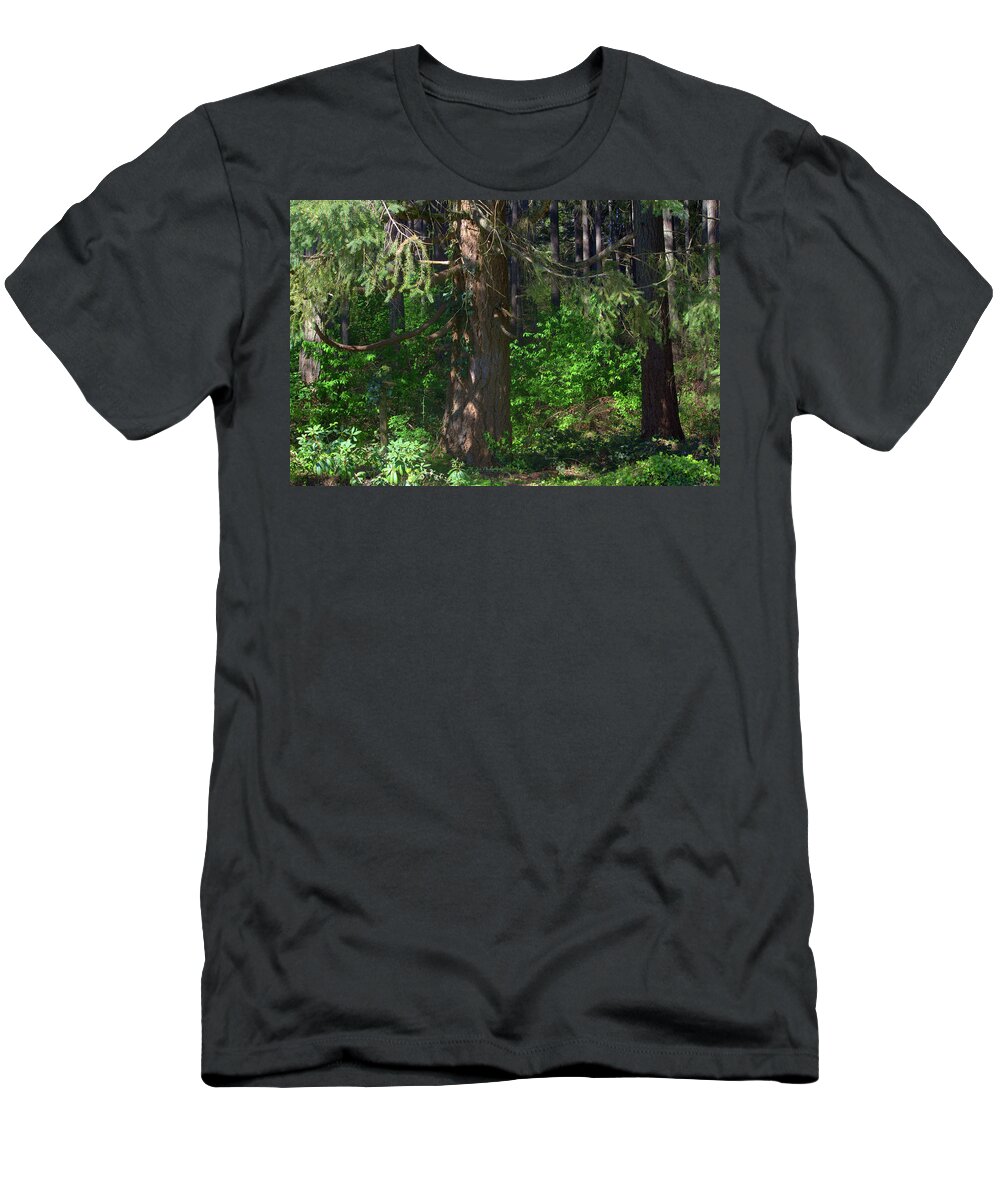 Wood T-Shirt featuring the photograph My Heart, My Woods by Jeanette C Landstrom