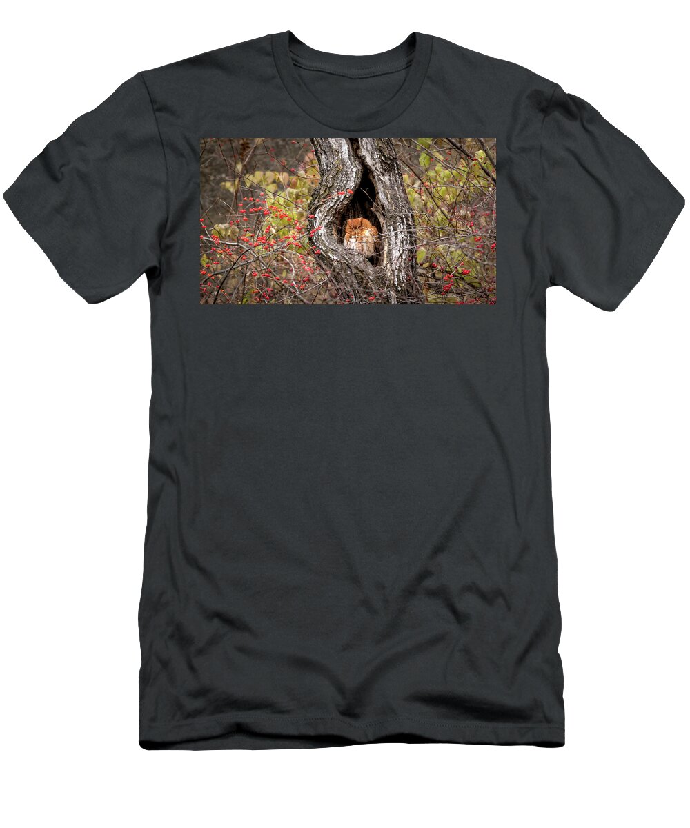 Owl T-Shirt featuring the photograph Nap Time by Holly Ross