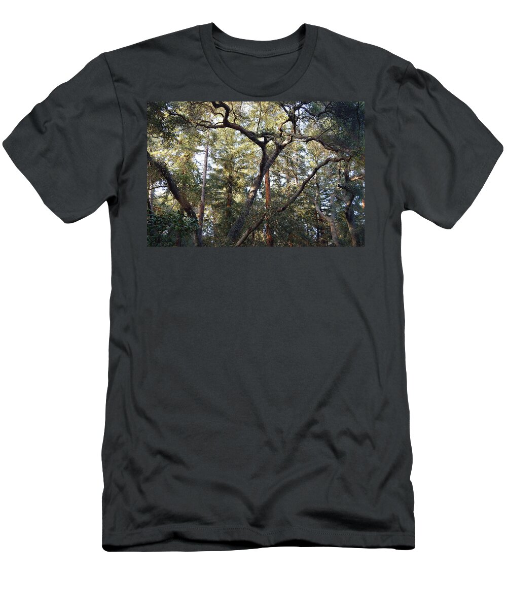 Descanso Gardens T-Shirt featuring the photograph Natural Upward Flow - Descanso Gardens by Glenn McCarthy Art and Photography