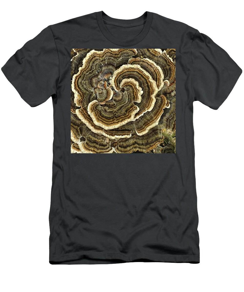 Bracket Fungi T-Shirt featuring the photograph Naturally Tie-Dyed by Jim Zablotny