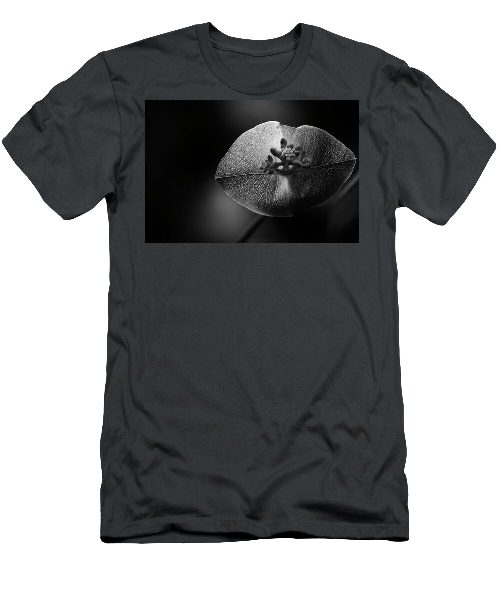 Blumwurks T-Shirt featuring the photograph Nature Kiss by Matthew Blum