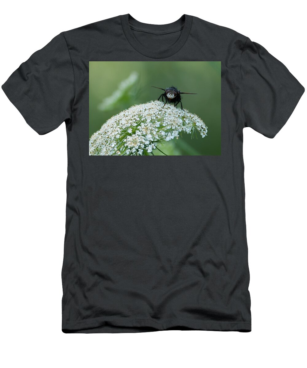 Plant T-Shirt featuring the photograph Nature Up Close by Holden The Moment