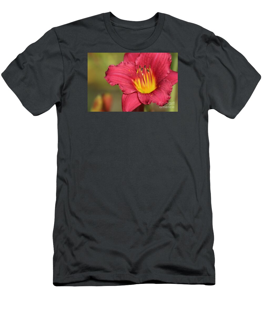 Pink T-Shirt featuring the photograph Nature's Beauty 121 by Deena Withycombe