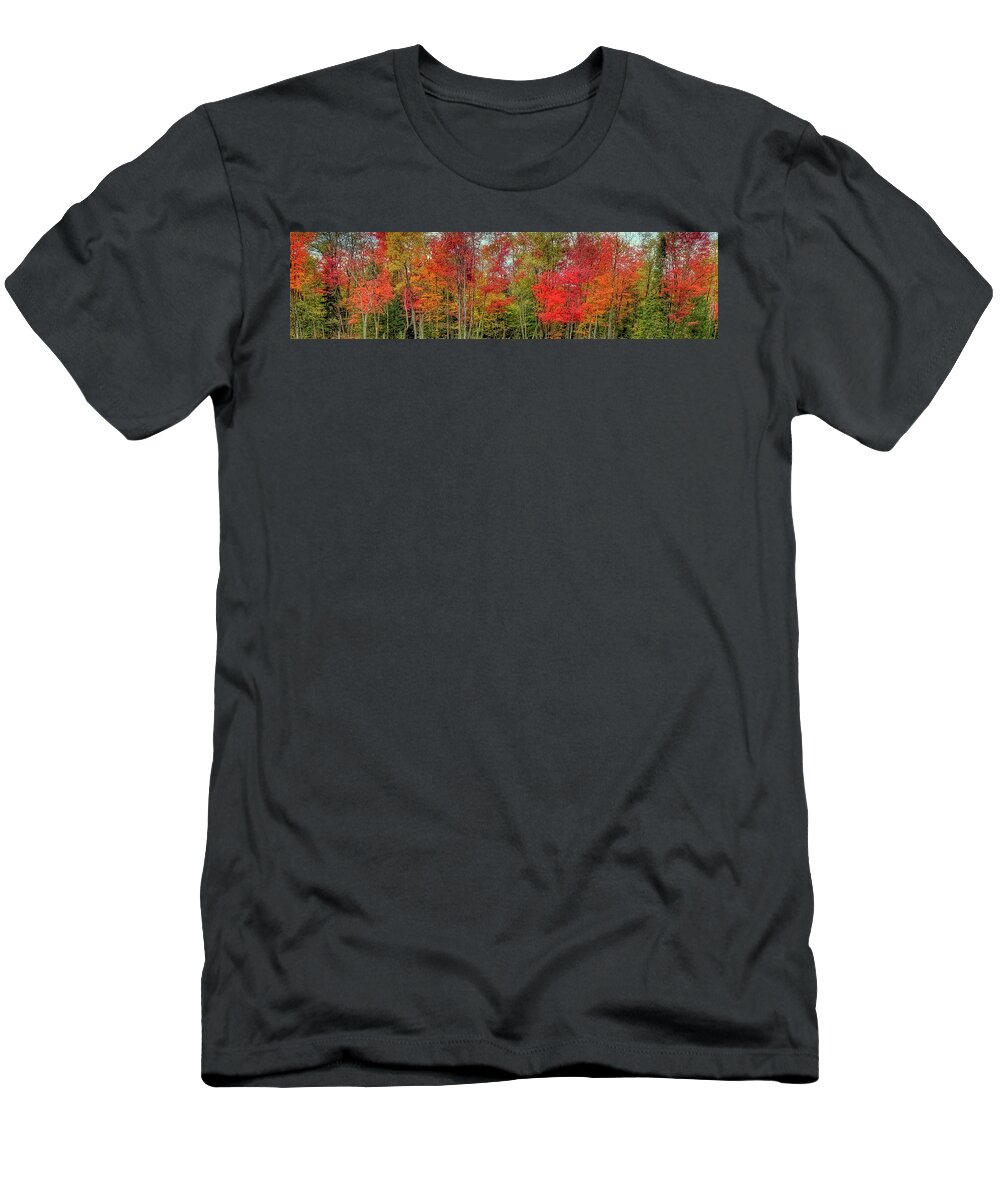 Landscapes T-Shirt featuring the photograph Natures Fall Palette by David Patterson