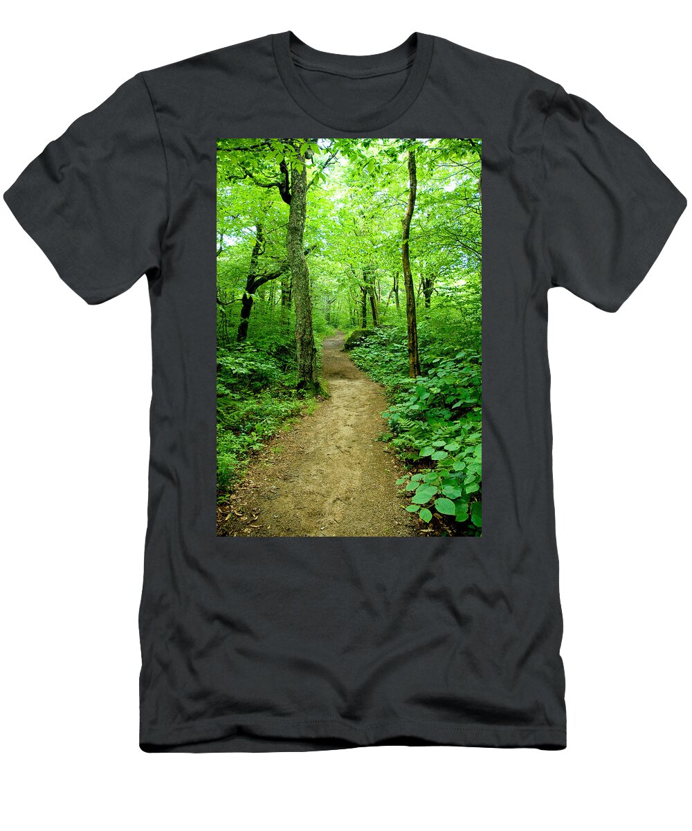 Trees T-Shirt featuring the photograph Nature's Path by Greg Fortier