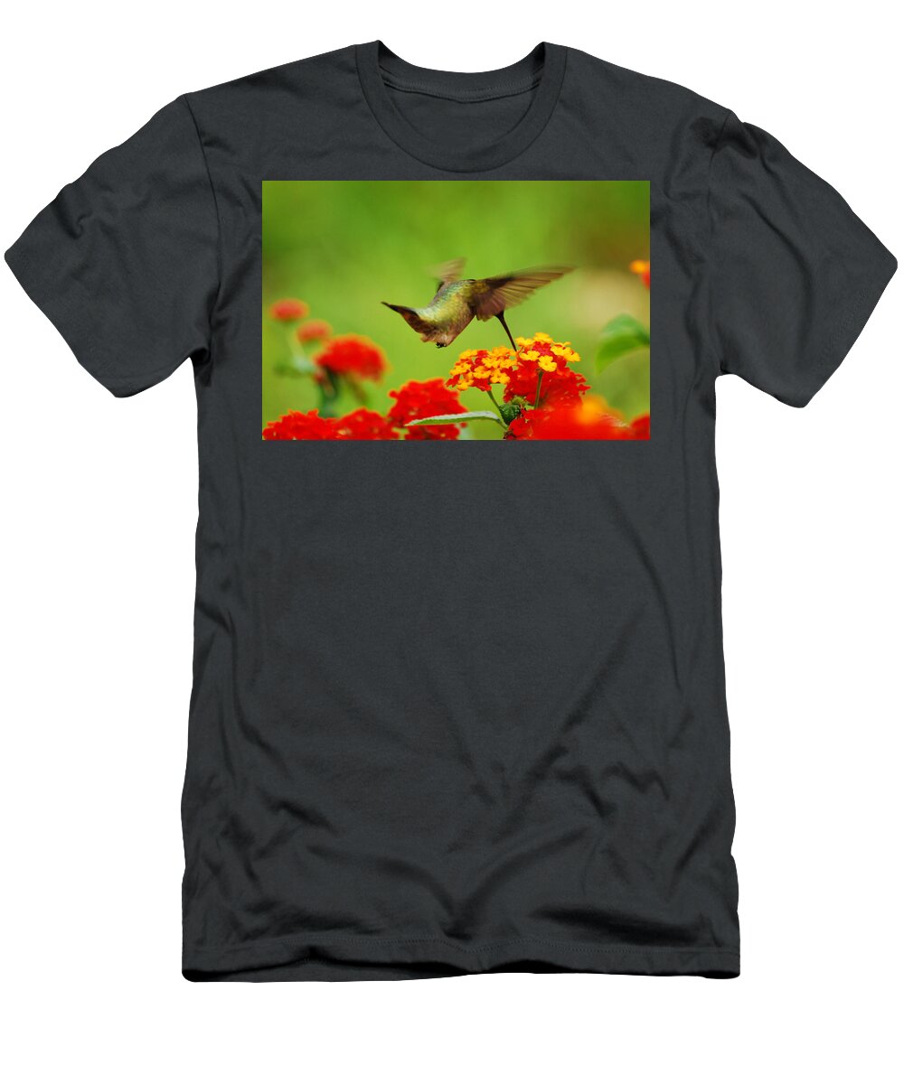 Hummingbird T-Shirt featuring the photograph Nectar Break by Lori Tambakis