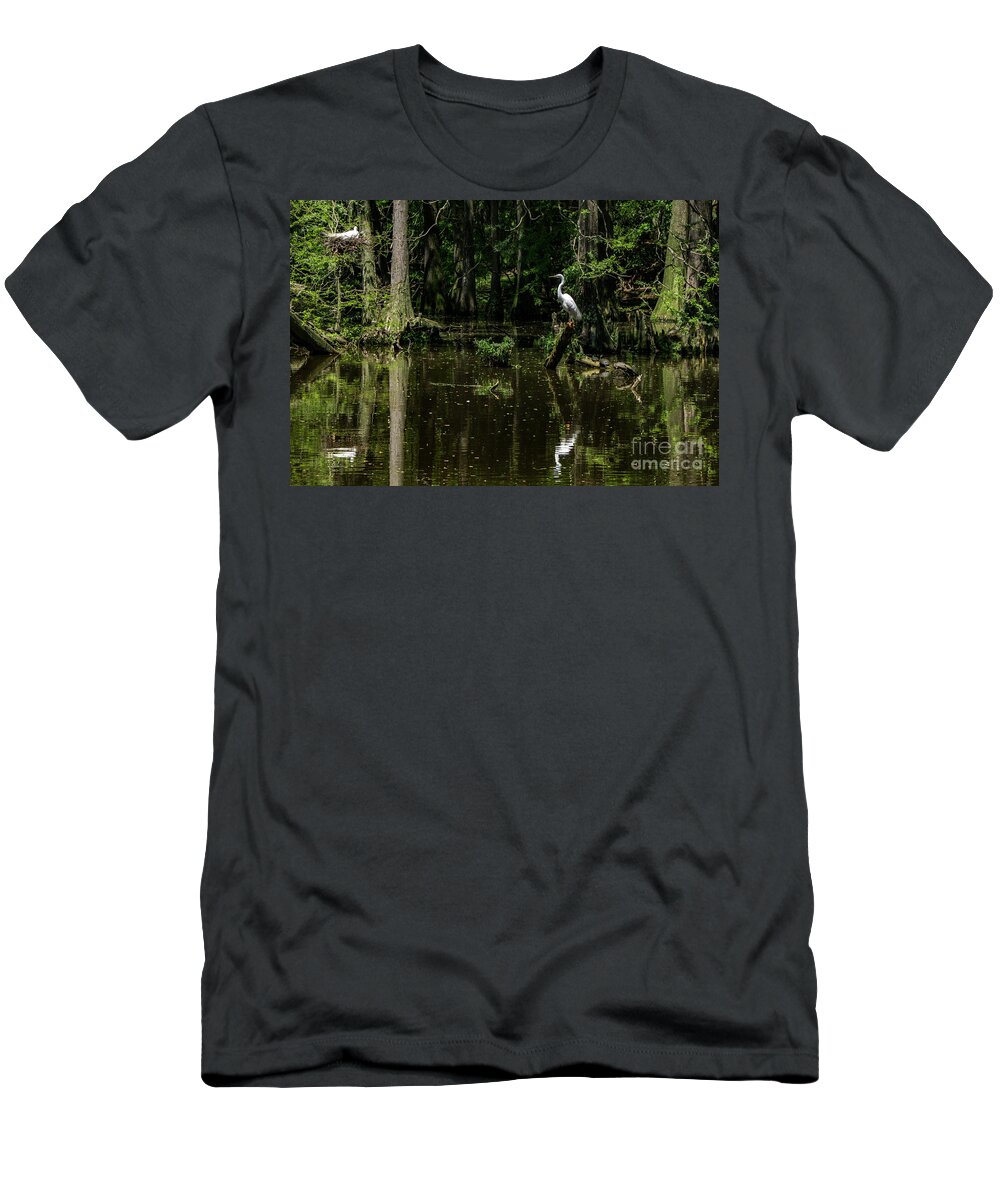 Nesting Egrets T-Shirt featuring the photograph Nesting Egrets by David Smith