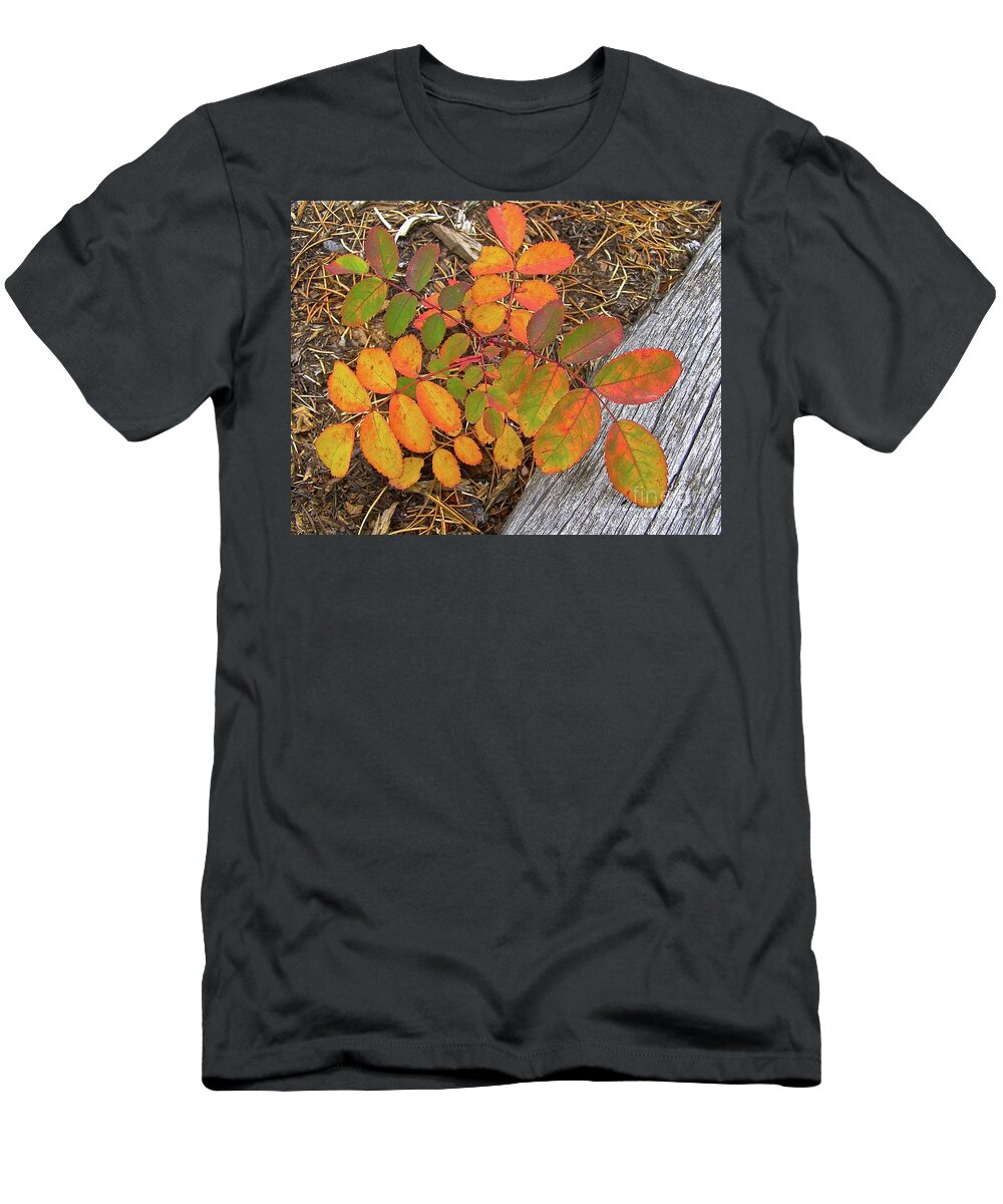 Colorado Mountains T-Shirt featuring the painting New And Old Life Cycles by Alan Johnson