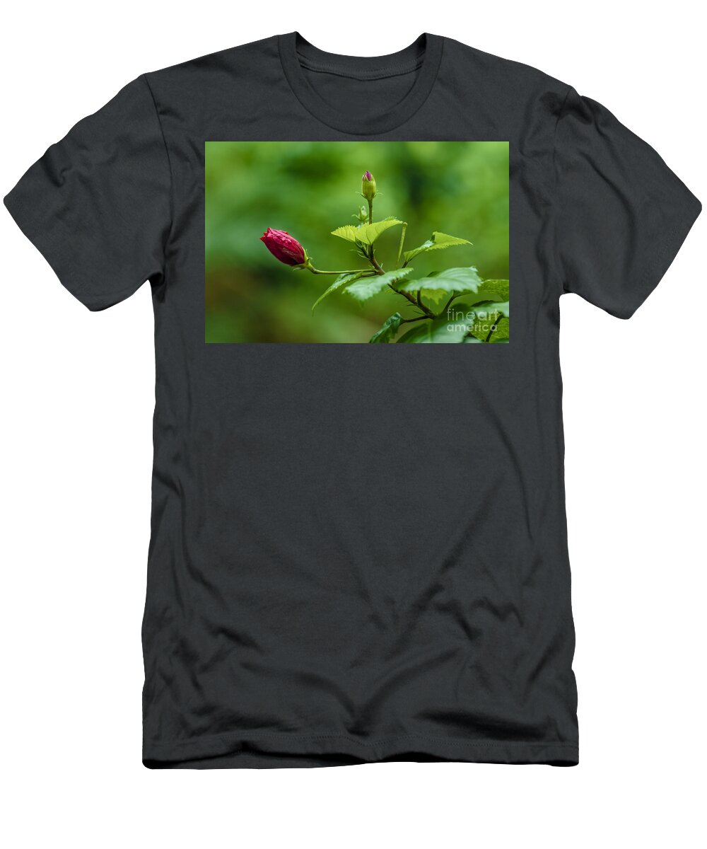 Flowers T-Shirt featuring the photograph New Bud by Charuhas Images