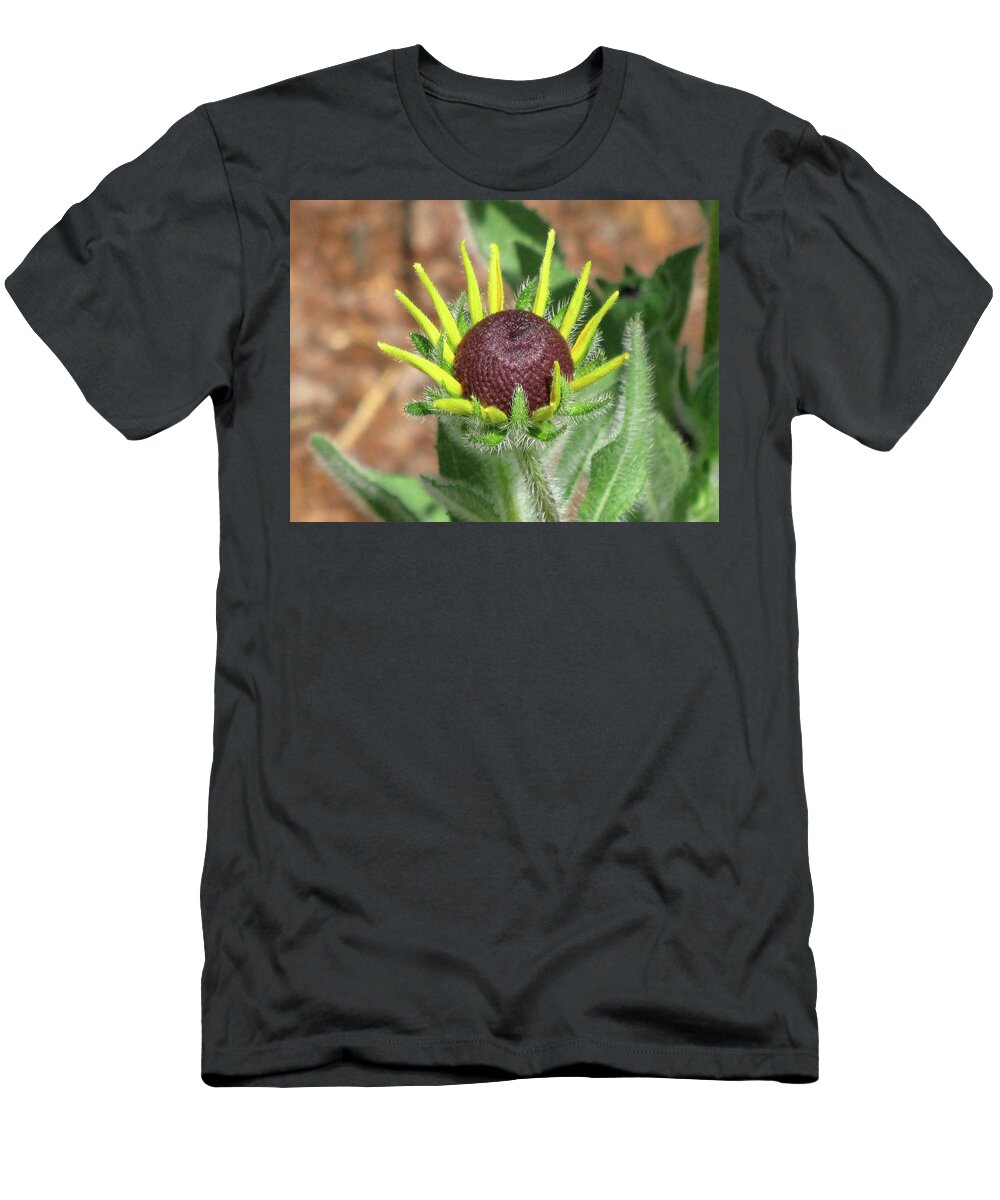 Flowers T-Shirt featuring the photograph New Daisy by Michele Wilson