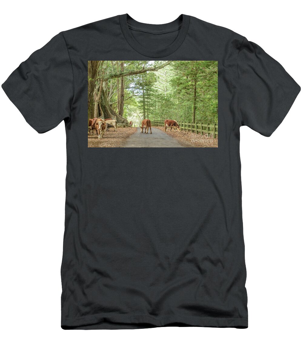 Road T-Shirt featuring the photograph New Farm Road by Werner Padarin