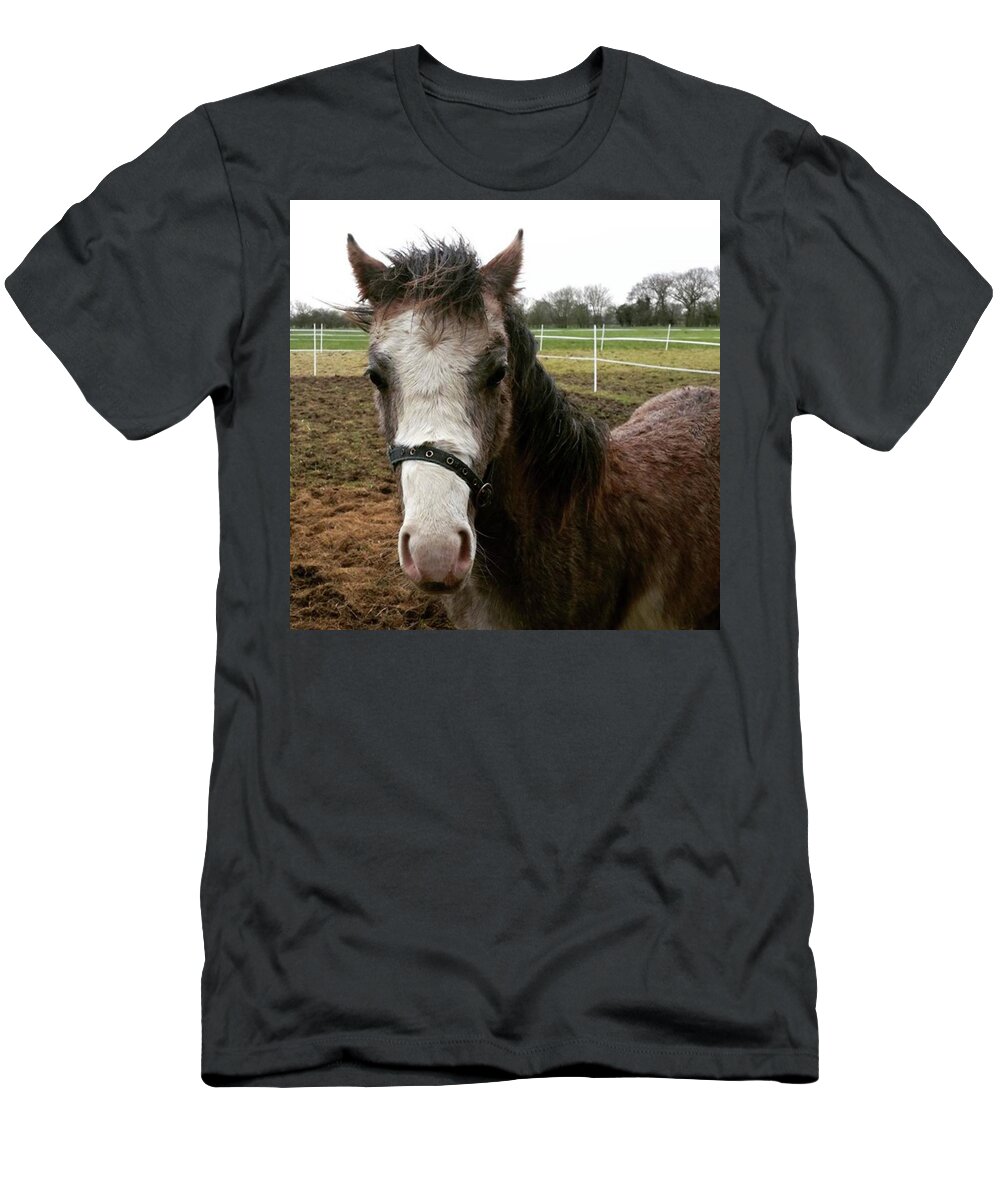 Horse T-Shirt featuring the photograph Hello Horsey by Rowena Tutty