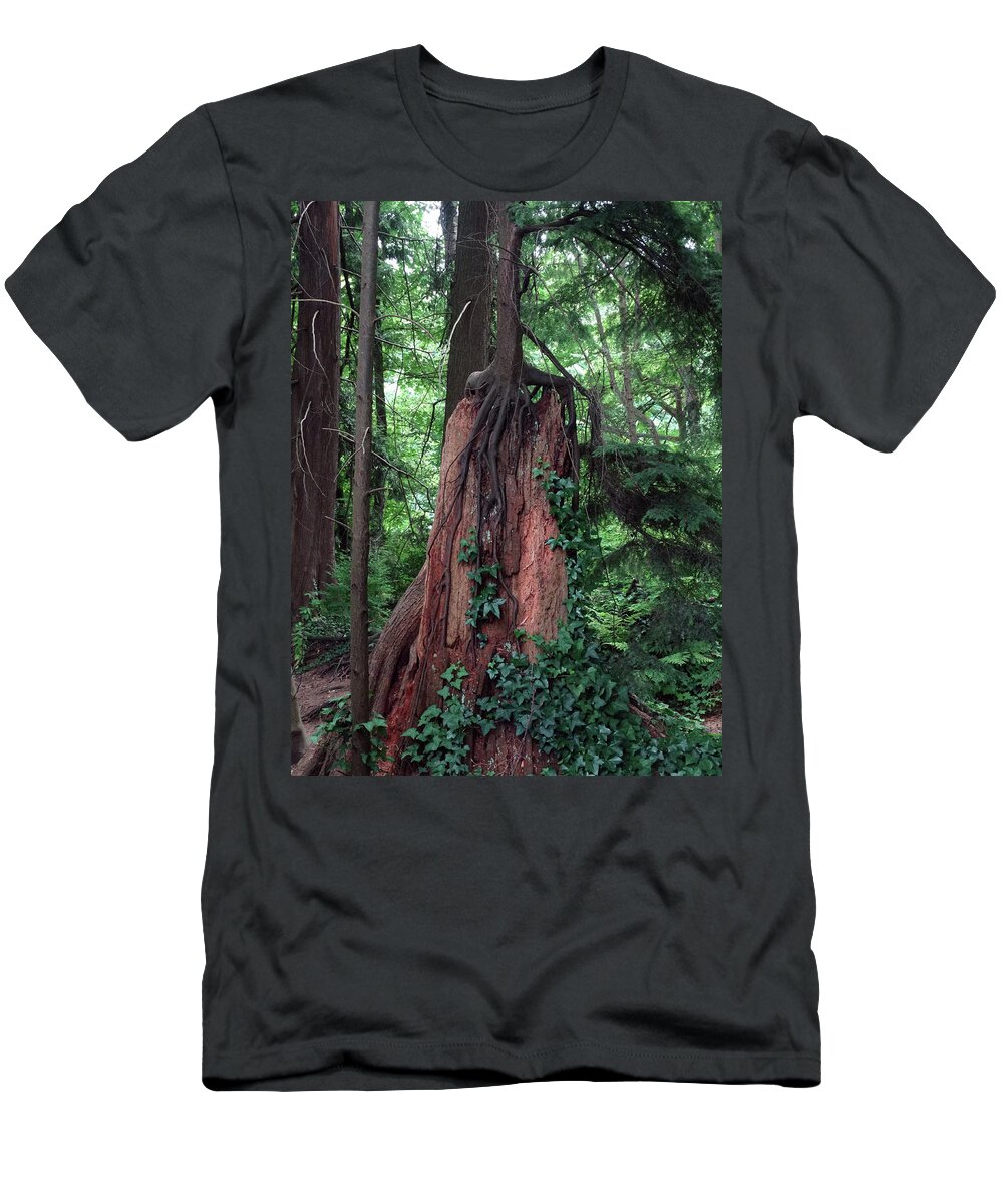 Park T-Shirt featuring the photograph New Life out of Old by David T Wilkinson