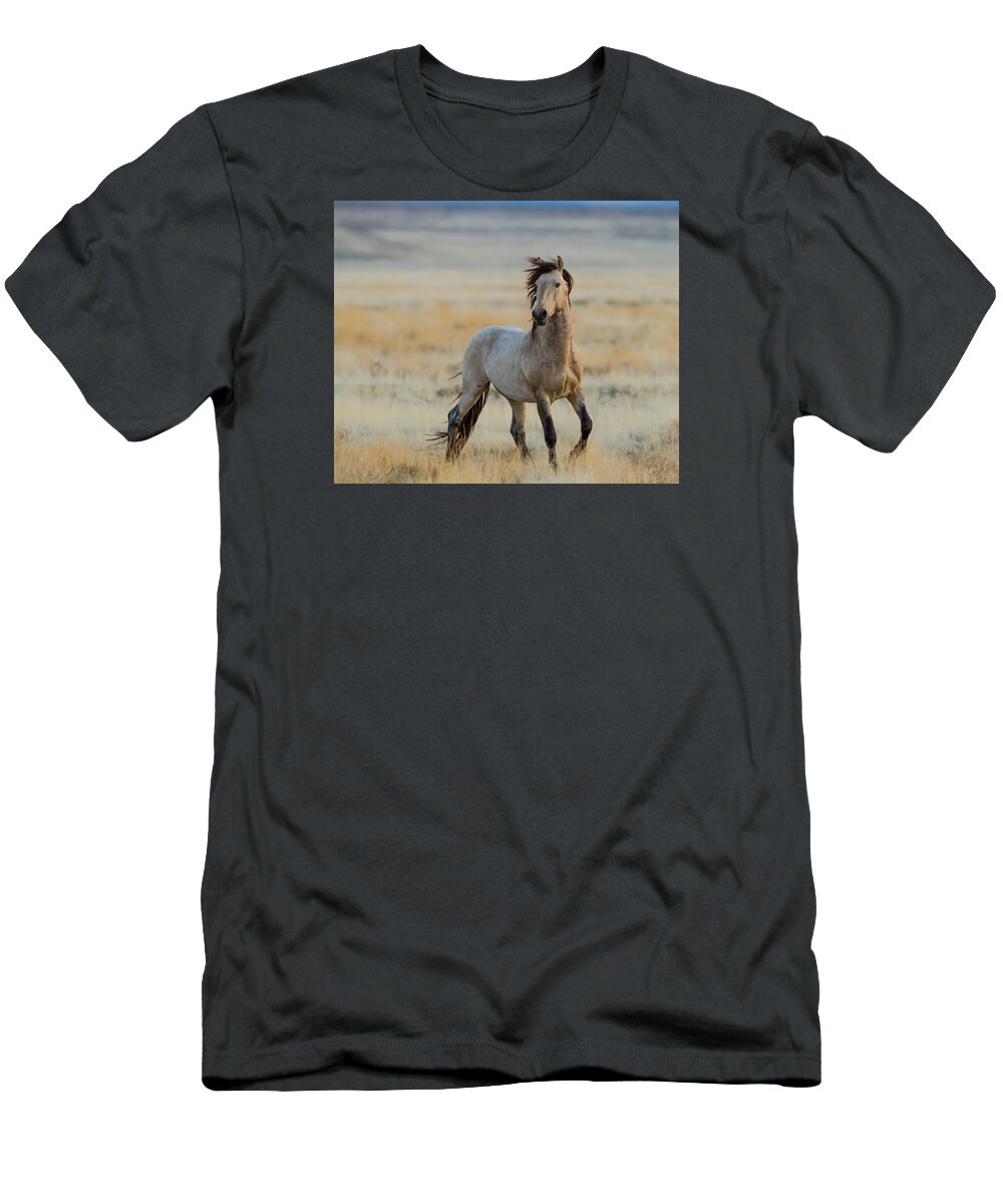 Wild Horse T-Shirt featuring the photograph New Stallion by Kent Keller