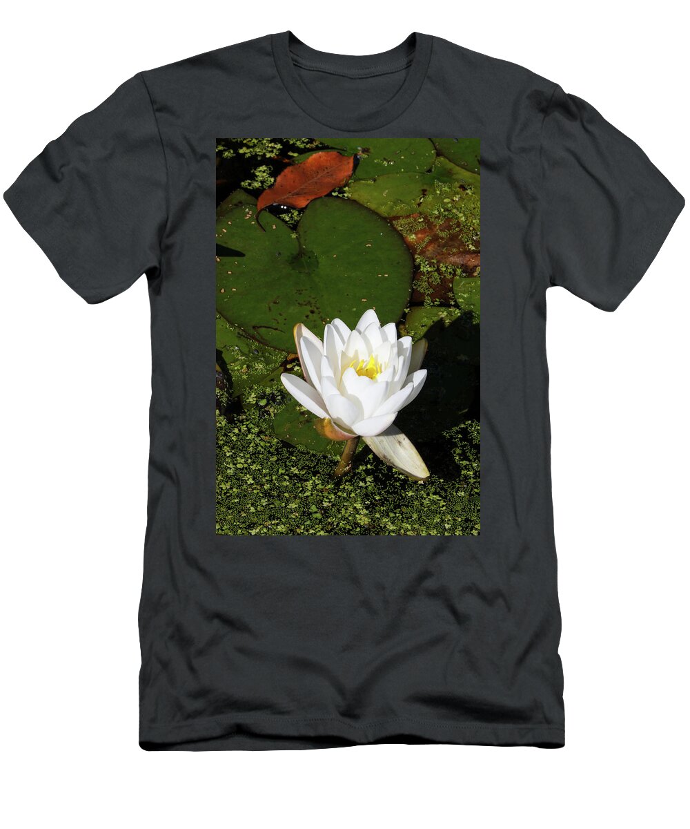 Lily T-Shirt featuring the photograph Next to You by Juergen Roth