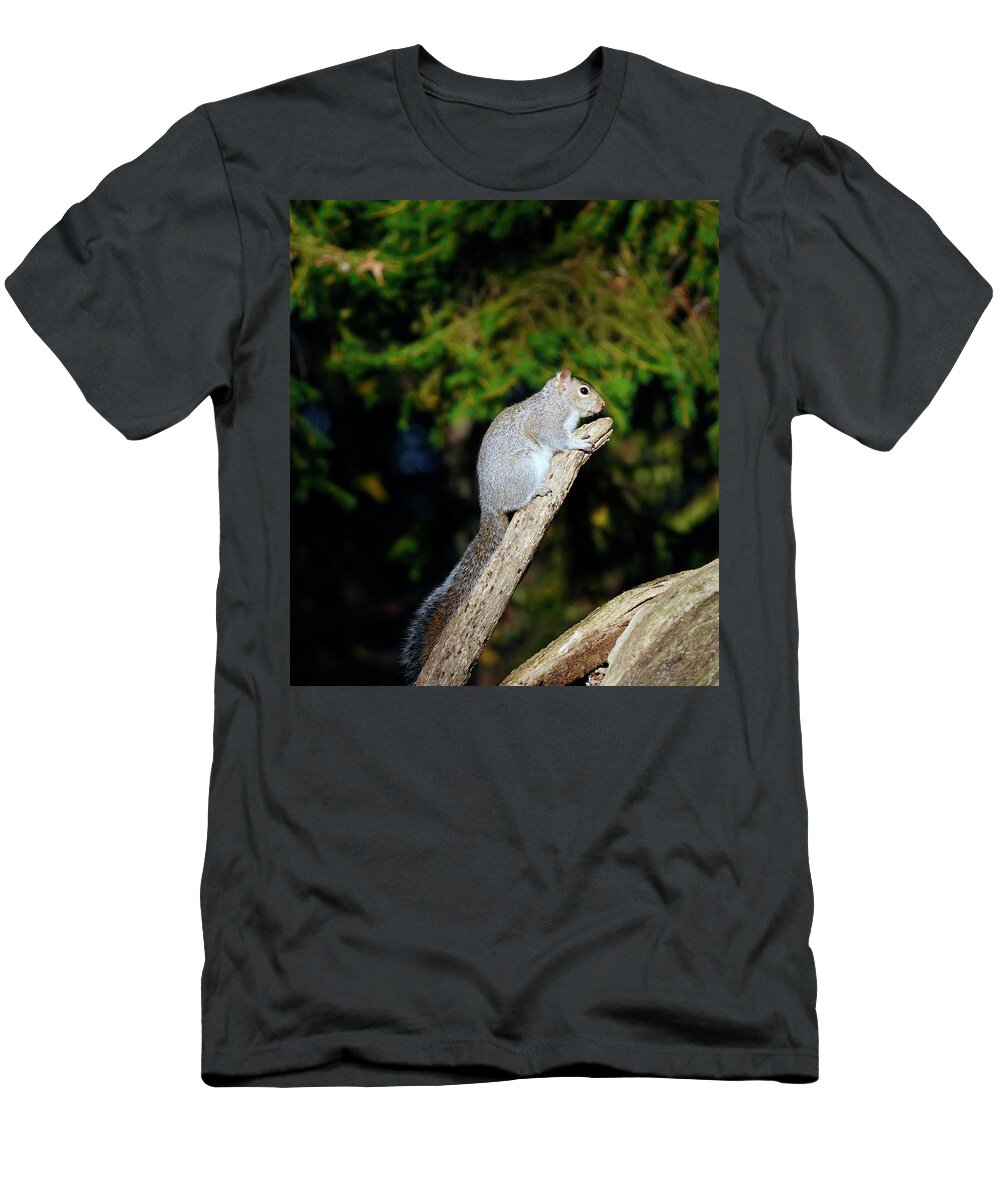 Wildlife T-Shirt featuring the photograph Nice Shot by Paul Ross