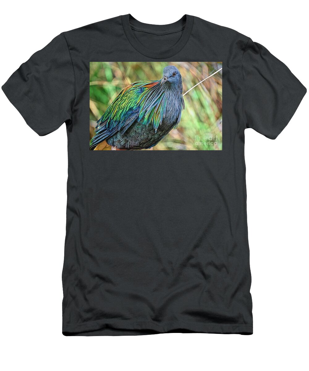 Birds Feeding T-Shirt featuring the photograph Nicobar Closeup by Judy Kay