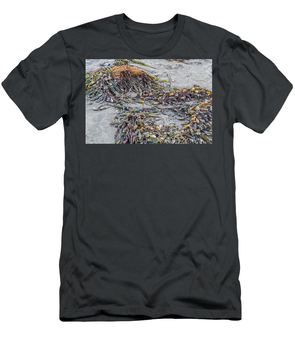 Cayucos T-Shirt featuring the photograph Cayucos State Beach Flotsam Abstract by Patti Deters