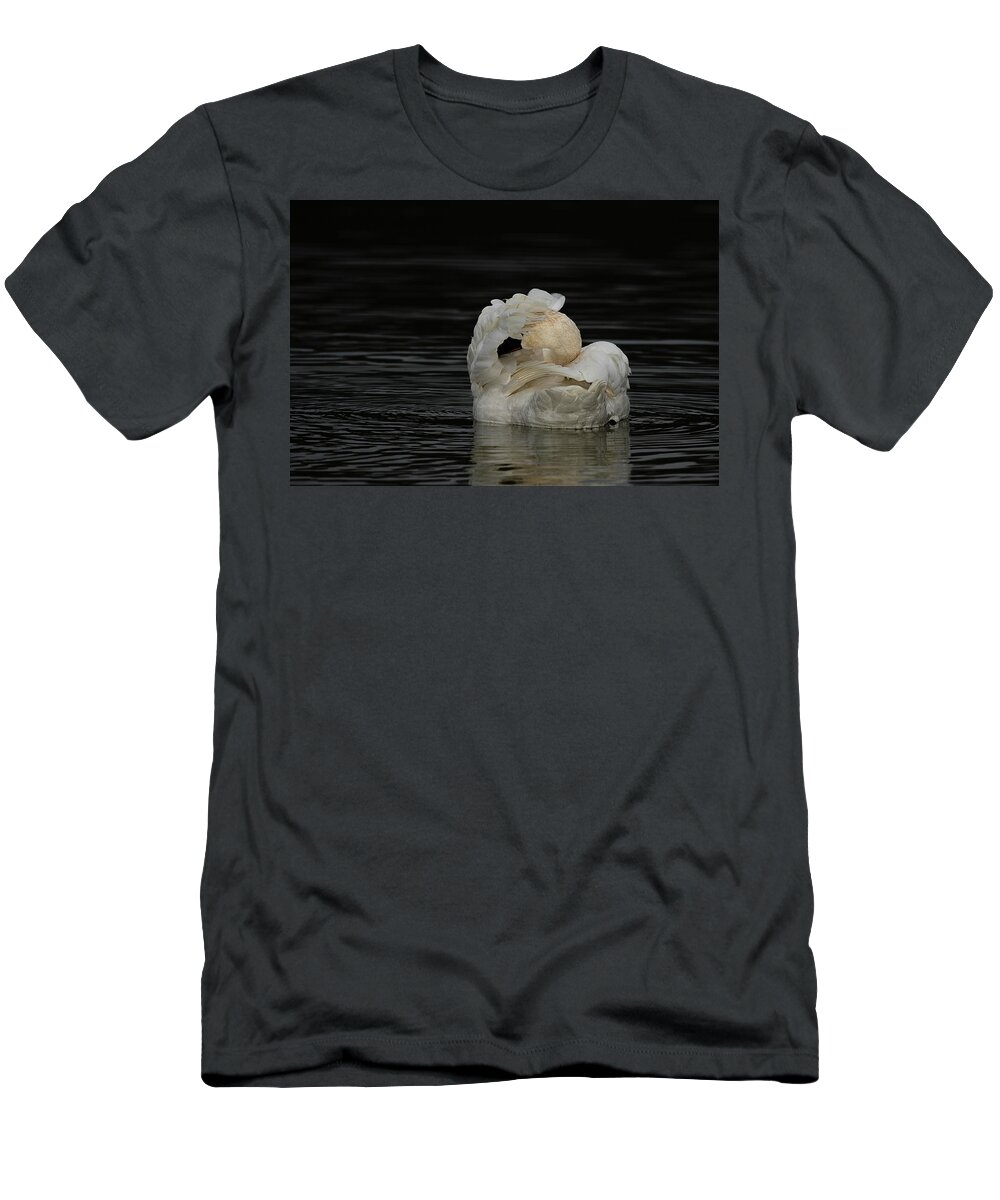 Trumpeter Swan T-Shirt featuring the photograph No Pictures Please by Eilish Palmer