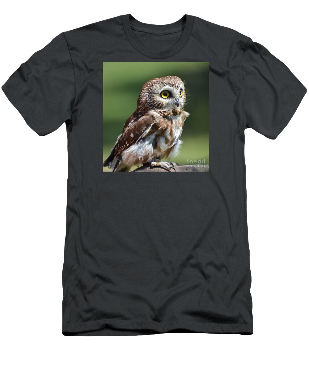 Owl T-Shirt featuring the photograph Northern Saw Whet Owl by Amy Porter