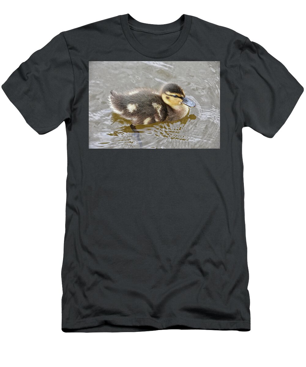 Duck T-Shirt featuring the photograph Not so Ugly Duckling by Kuni Photography