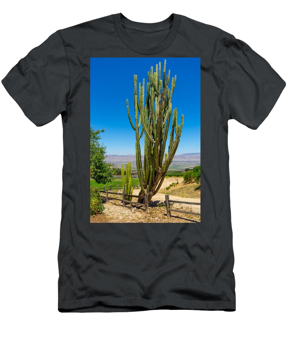 California T-Shirt featuring the photograph Now That's a Cactus by Derek Dean