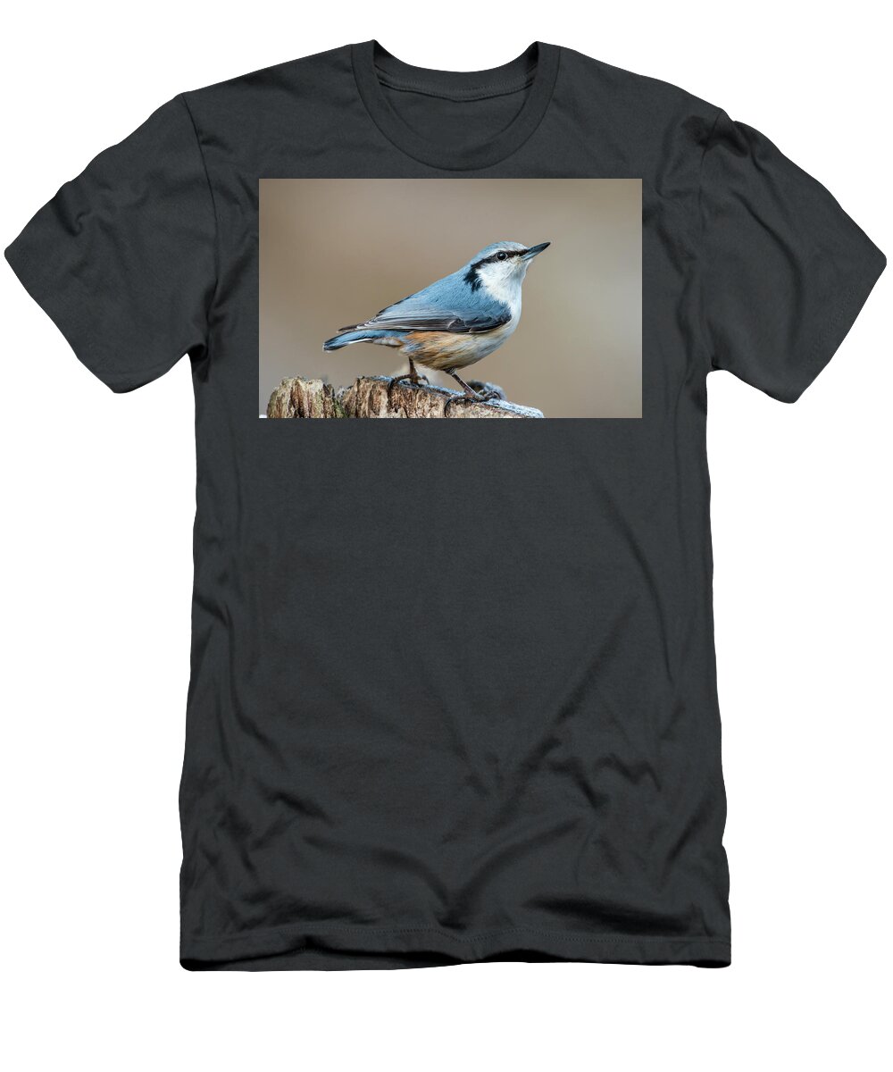 Nuthatch T-Shirt featuring the photograph Nuthatch's pose by Torbjorn Swenelius