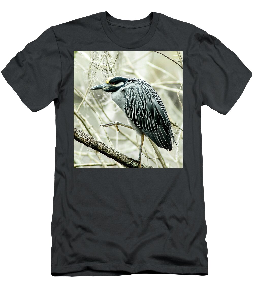 Yellow Crowned Night Heron T-Shirt featuring the photograph Nyctanassa Violacea by Norman Johnson