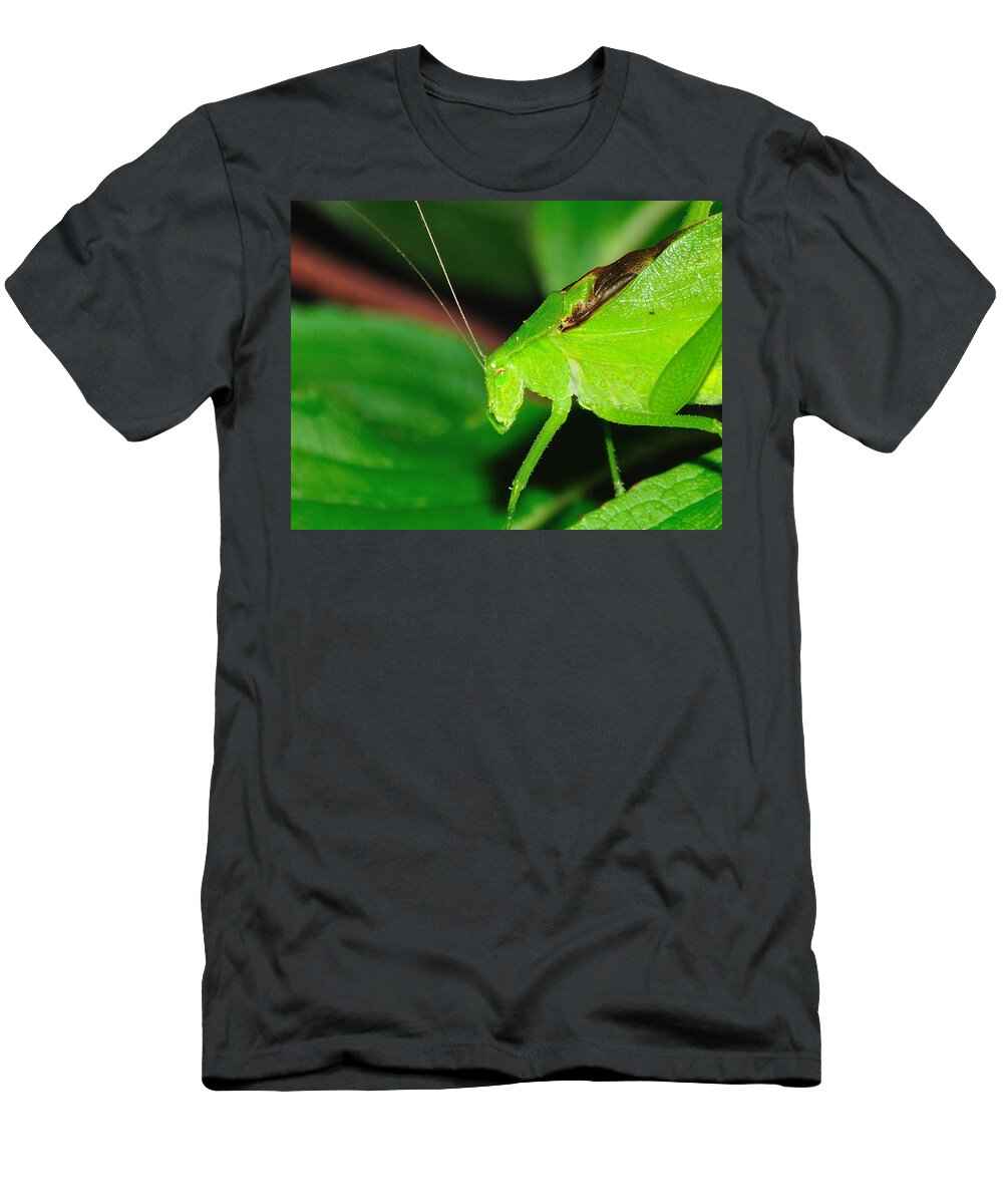 Grasshopper T-Shirt featuring the photograph O Grasshopper by Mark Fuller