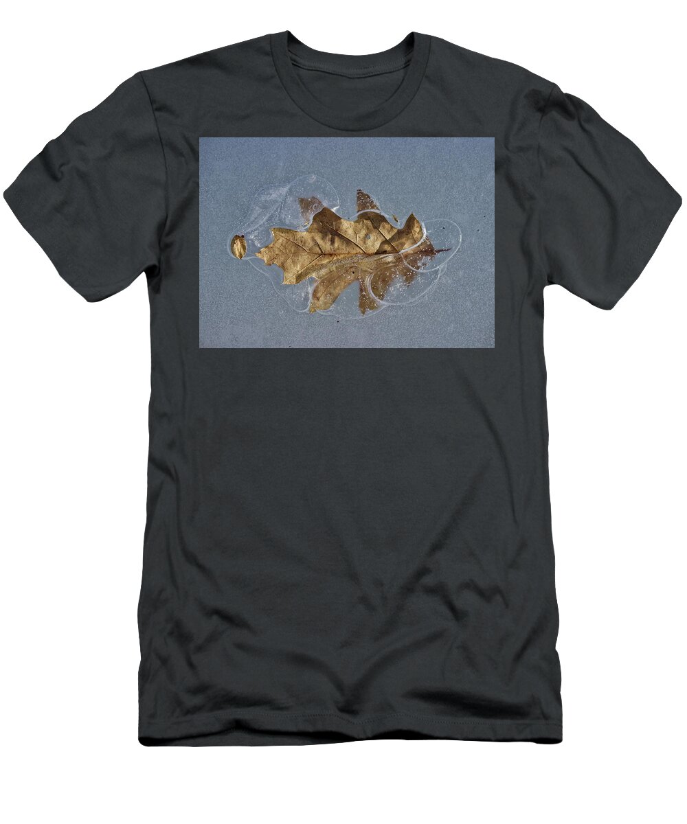 Red Oak T-Shirt featuring the photograph Oak on Ice by David Pickett