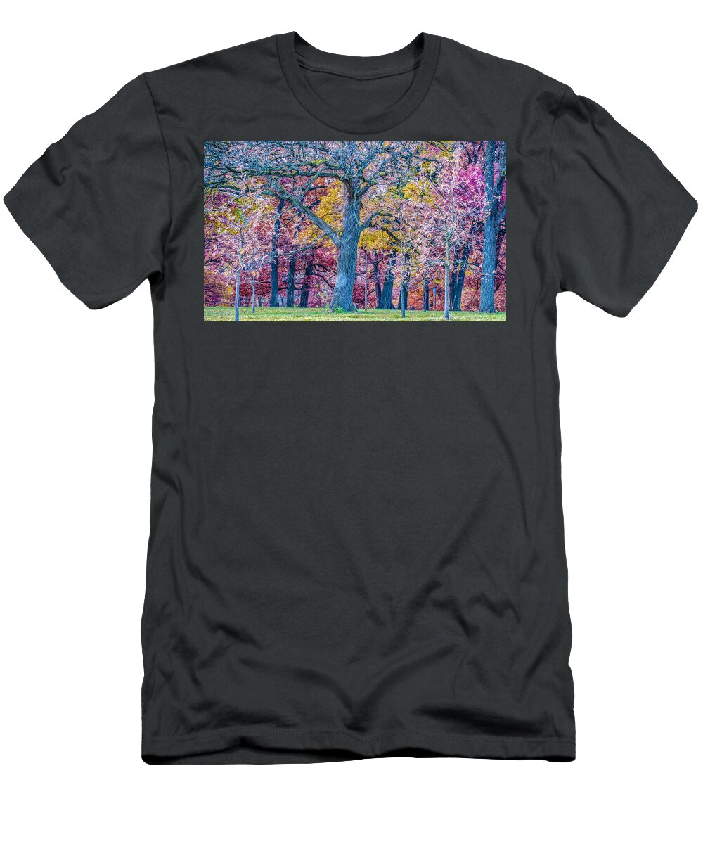 Morton Arboretum Oak Trees T-Shirt featuring the digital art Oak Trees at Fall by Judith Barath