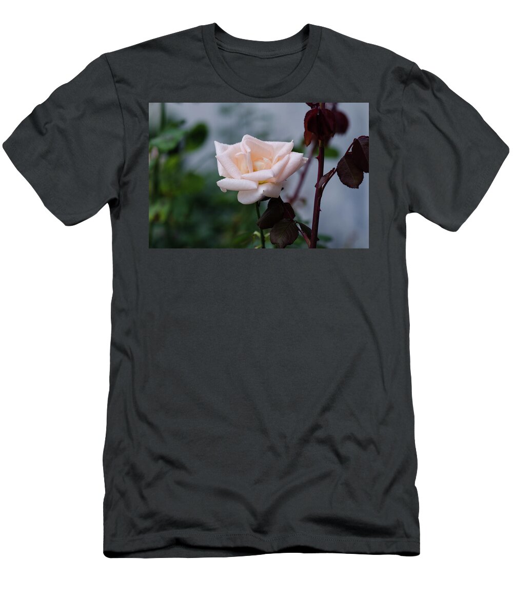 Winterpacht T-Shirt featuring the photograph October Rose by Miguel Winterpacht