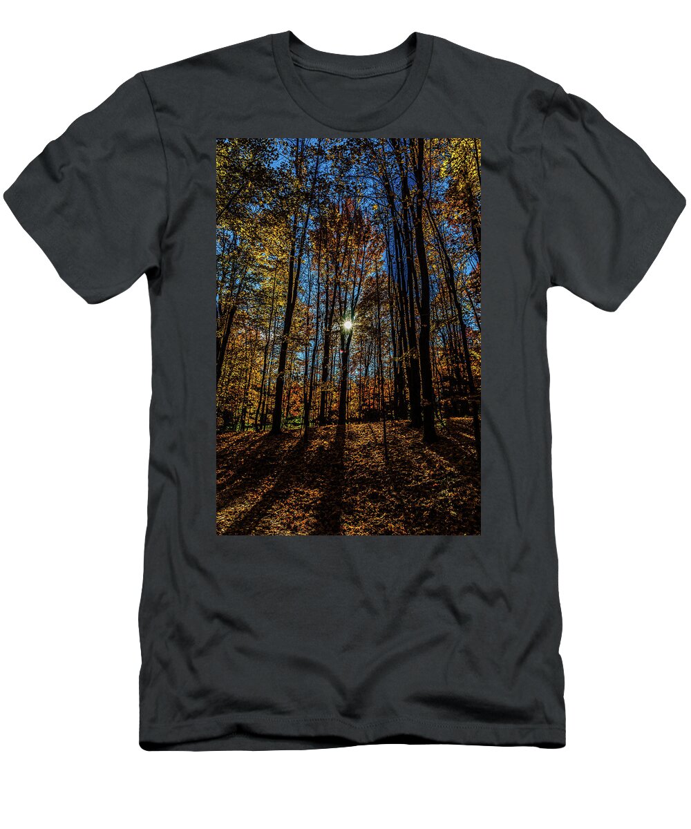 Path T-Shirt featuring the photograph Off the Beaten Path by Joe Holley