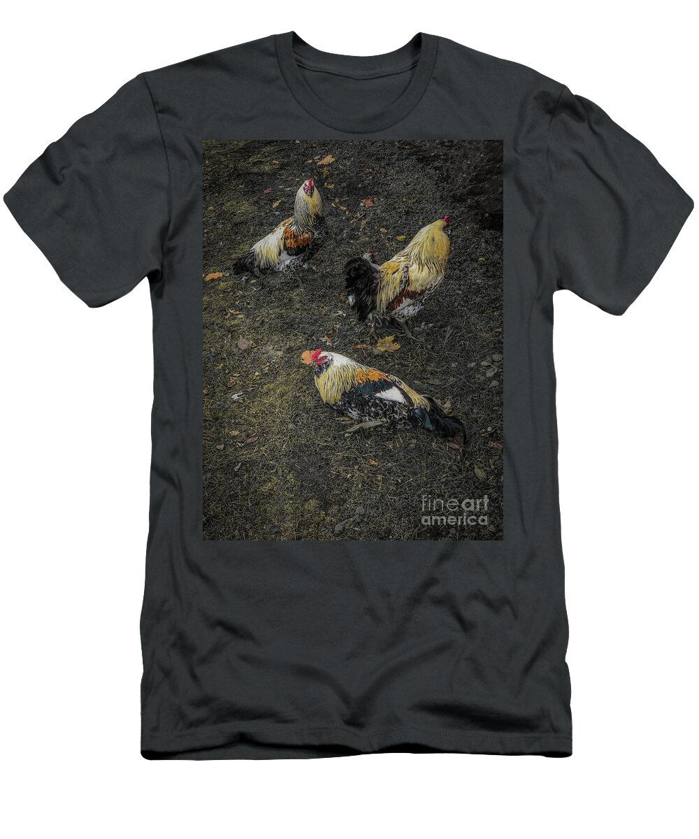 Birds T-Shirt featuring the photograph Okemos Public Chicken by Joseph Yarbrough