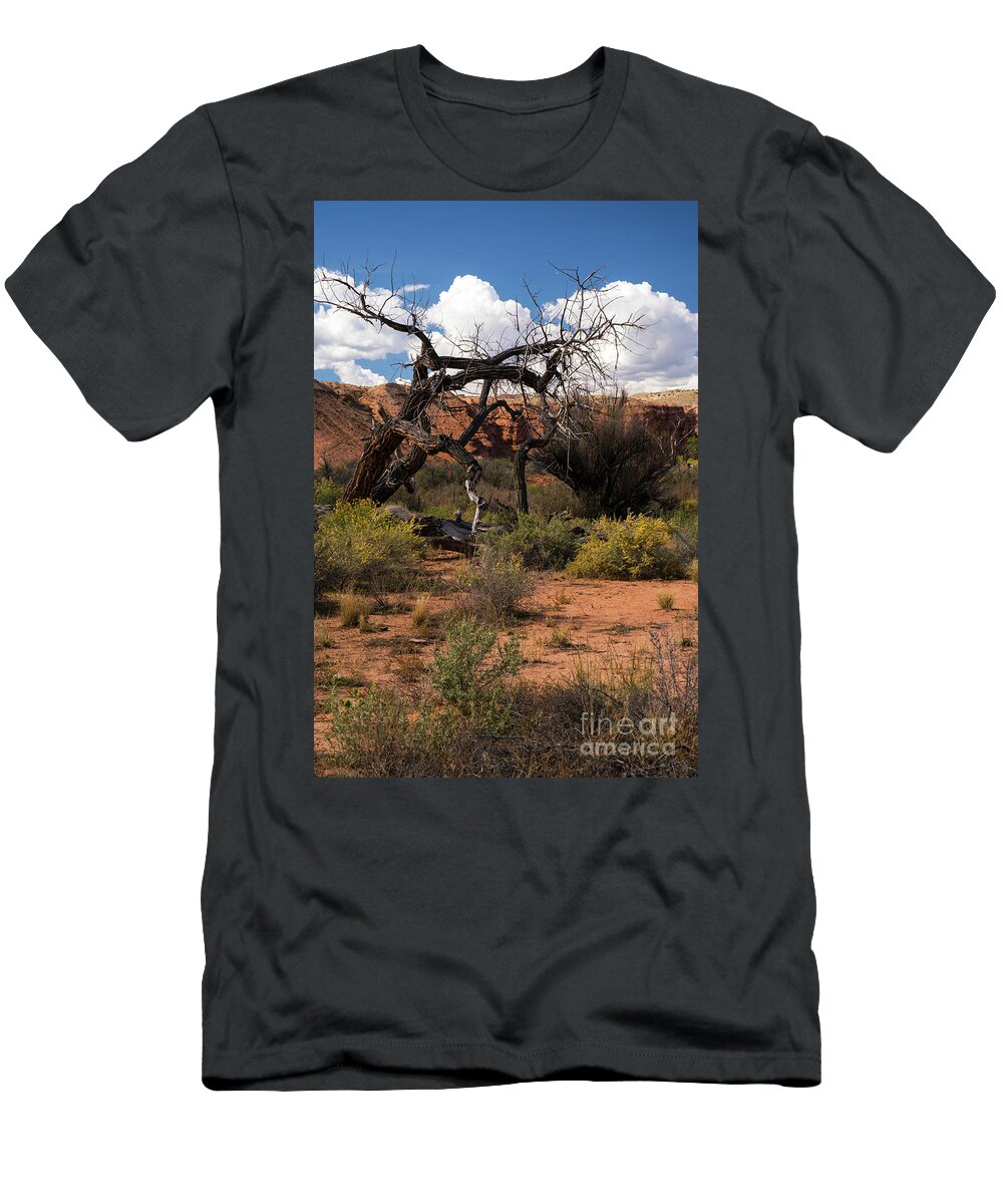 Tree T-Shirt featuring the photograph Old Tree in Capital Reef National Park by Cindy Murphy - NightVisions