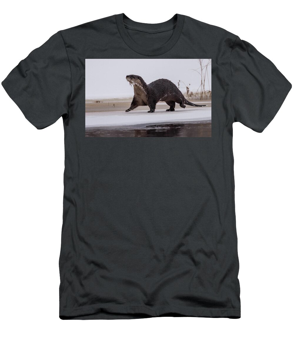 Otter T-Shirt featuring the photograph On the Move by Jody Partin