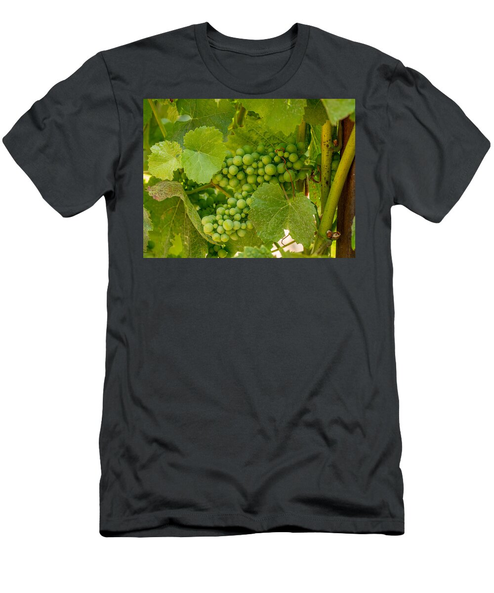 Grapes T-Shirt featuring the photograph On the Vine by Derek Dean