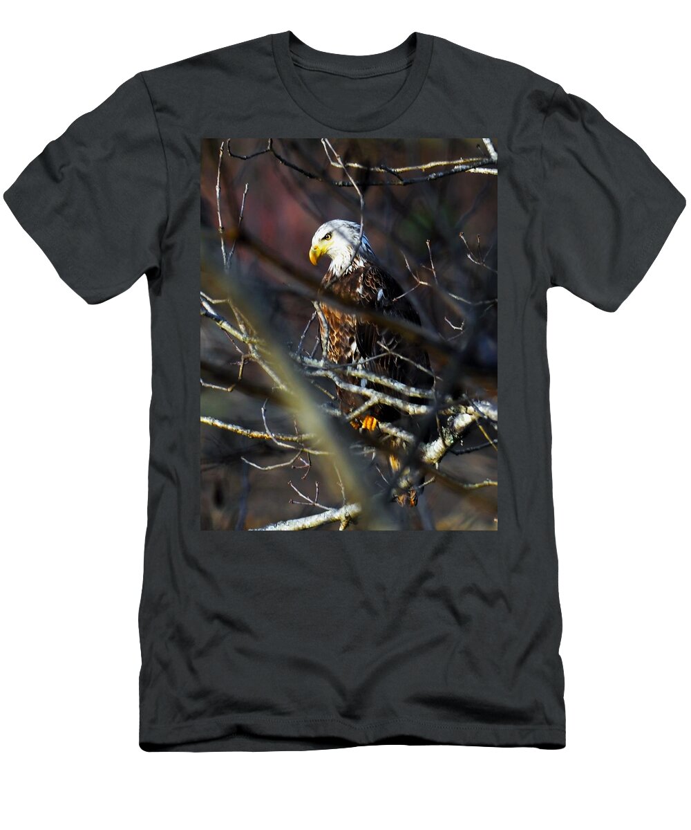 Eagle T-Shirt featuring the photograph On Watch by Chuck Brown