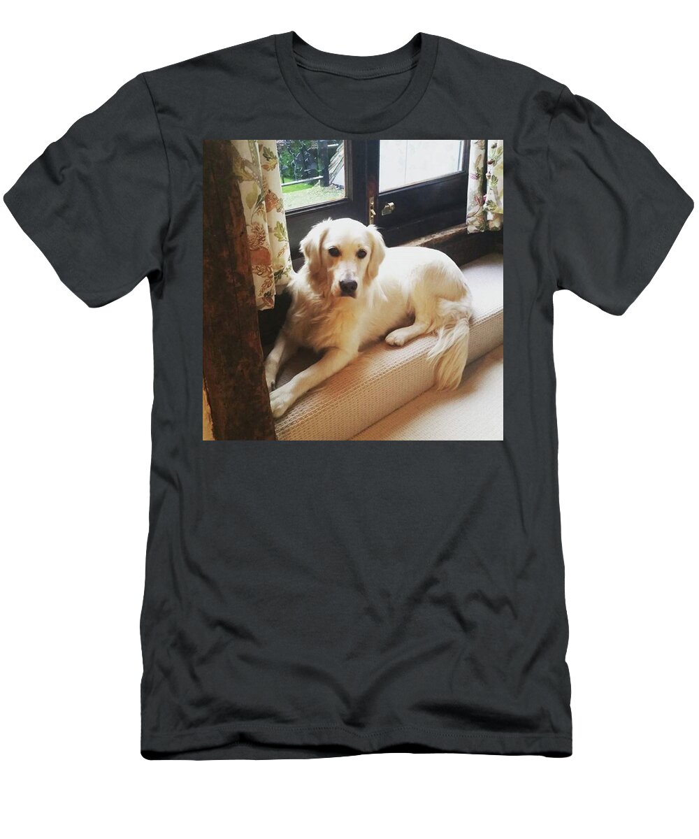 Dog T-Shirt featuring the photograph Sitting Pretty by Rowena Tutty