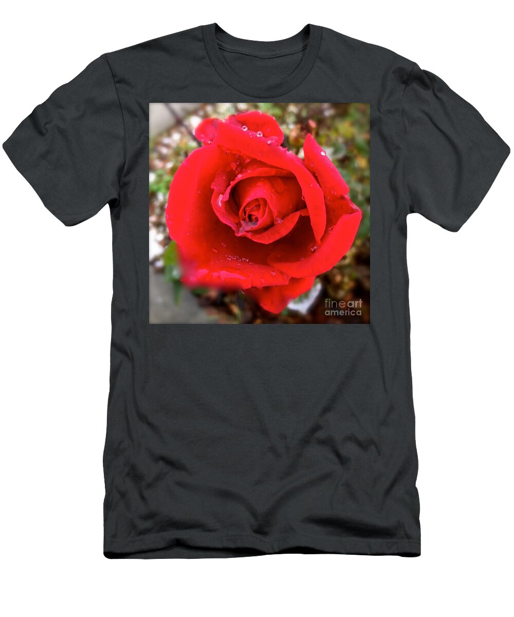 Rose T-Shirt featuring the photograph One red rose by Wonju Hulse