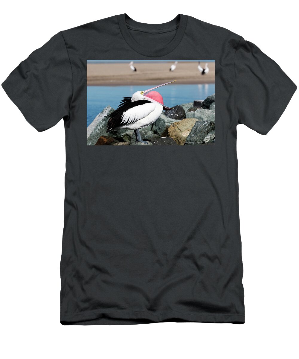Pelicans T-Shirt featuring the digital art Open wide 61063 by Kevin Chippindall