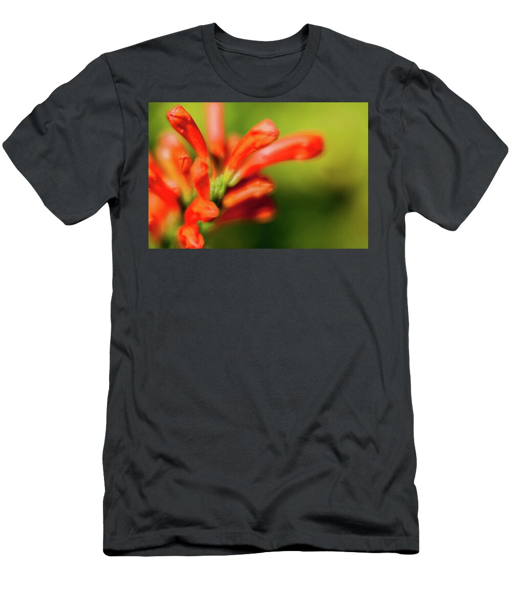 Flower T-Shirt featuring the photograph Orange and green by Al Hurley