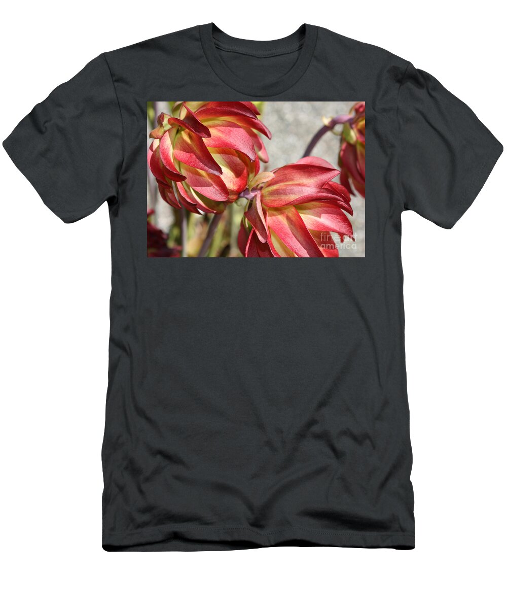 Flower Card T-Shirt featuring the photograph Orange and Light Green Flowers by Carol Groenen