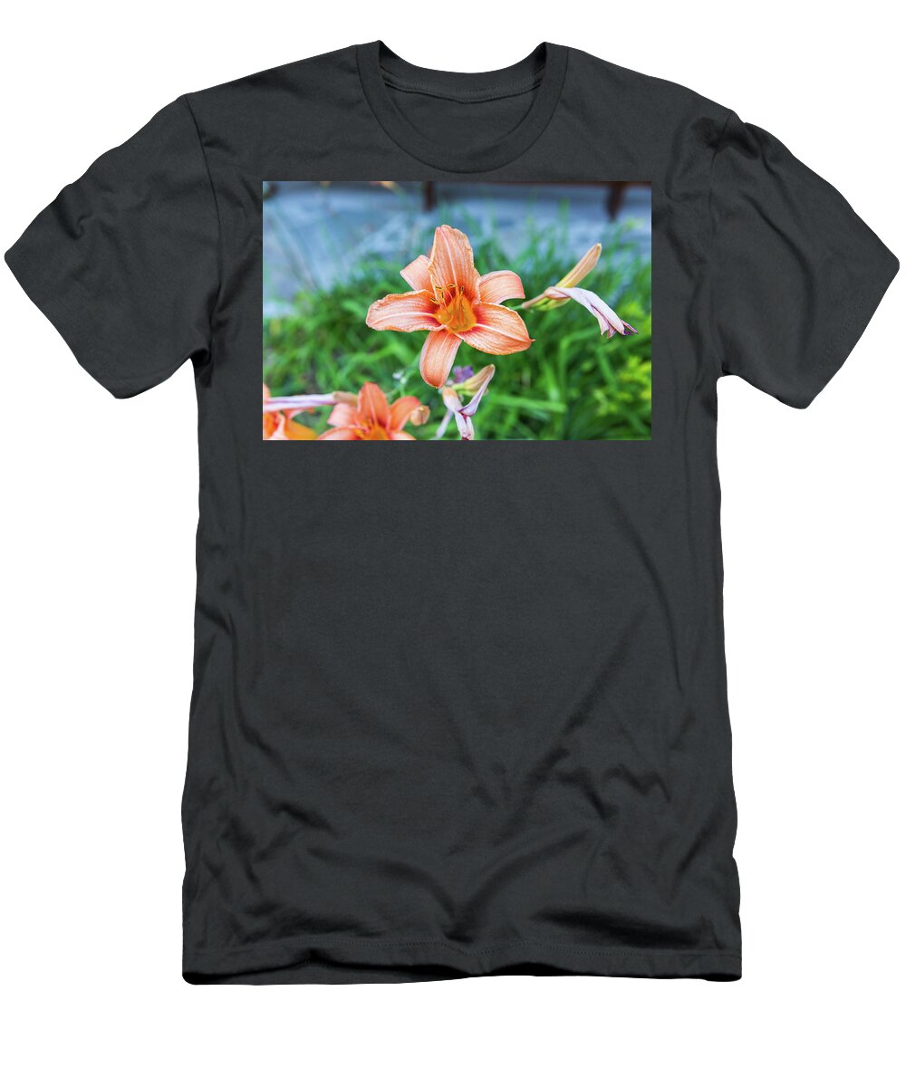 Flower T-Shirt featuring the photograph Orange Daylily by D K Wall